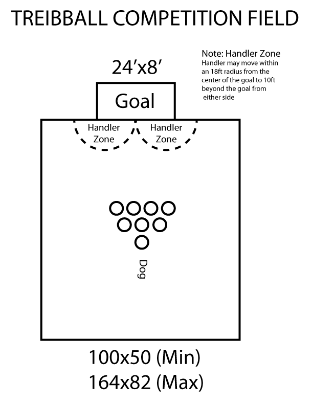 Treibball-Competition-Field